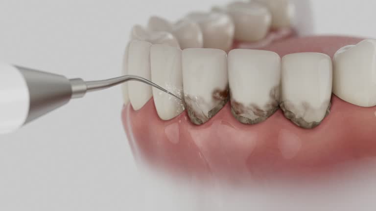 Reliable Dental contractor in Tanaina, AK by Dentist Open Now